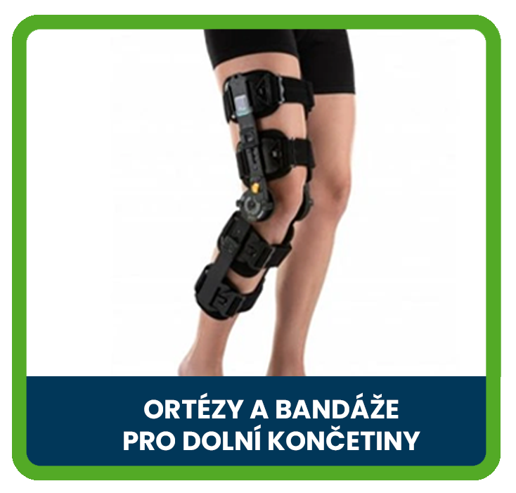 Dolní končetiny