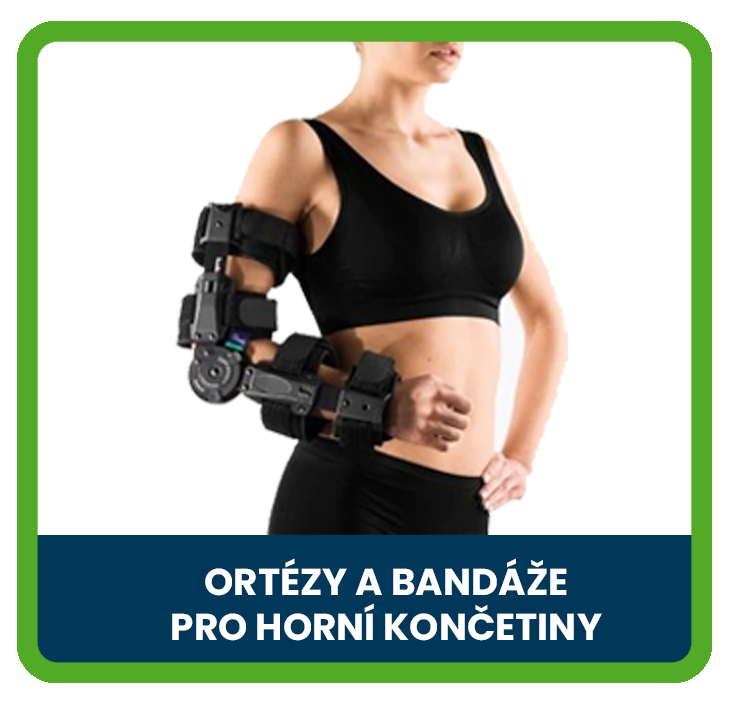 Horní končetiny